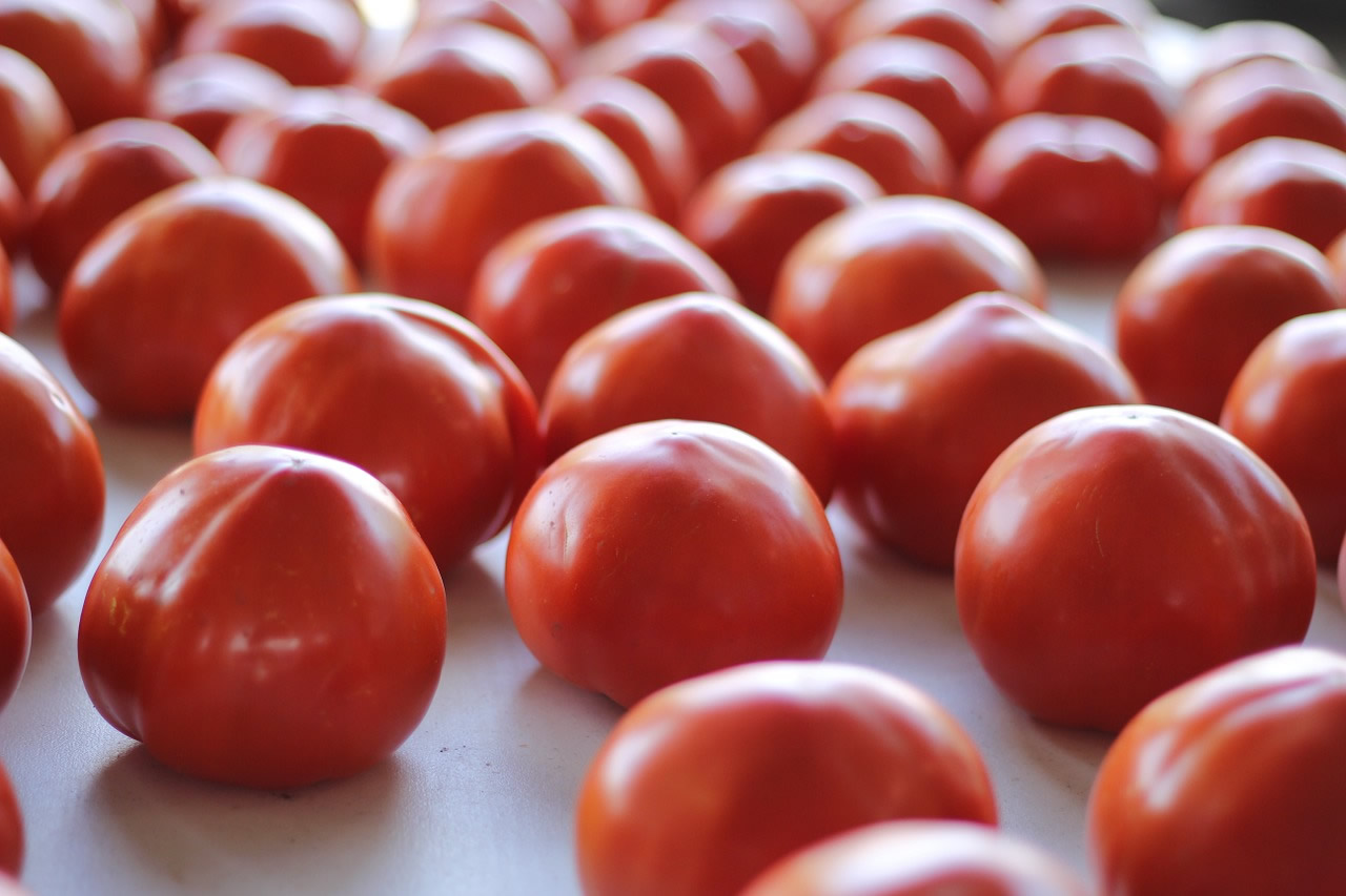 Tomaten voor de soep